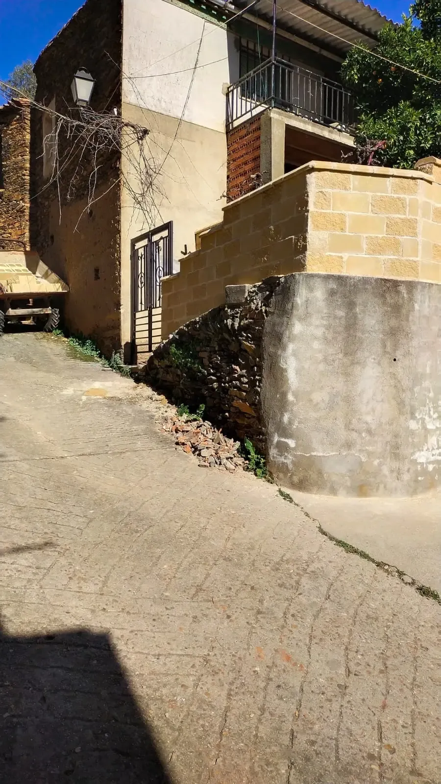Proyecto Muro